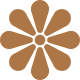 Golden Flower